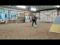 CALINA RETURNS TO AGILITY! RUN 2.1