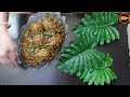 Palak Or Nargisi kofta Recipe | Resturant Style Palak Kofta Recipe | Palak With Nargisi Kofta