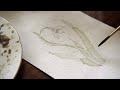 Niphredil REALTIME watercolour | New stickers & packing orders for Etsy #silentvlog #4k