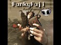 FunkyFuji - FunkyFantasy1993