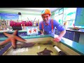 Blippi Visits a Zoo (Point Defiance Zoo & Aquarium) | Blippi Full Episodes | Blippi Toys