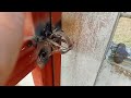 How to make a Diy gate lock