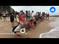 Sri lanka | Blue Whale | Swim with Turtle | Mirrisa | Galle | Hikkaduwa | Beautiful Srilanka (2020)