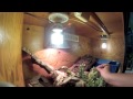 ACKIE MONITOR CARE VIDEO!