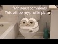 If Mr. Beast comments... This will be my profile picture!