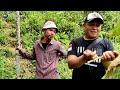 Gara² Depresi., Mantan Youtuber Muda Memilih Bertani Tinggal Di Gubuk Kecil Dekat Hutan.