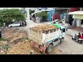 FULL PROCESS Land Filling UP Use KOMATSU BULLDOZER D31p Pushing Soil and Trash By Dump Truck 5T
