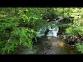 North Branch Cascades 4K