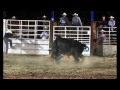 Cranbourne Rodeo March 2013. Clown gets thrown 5 metres then pulverised.