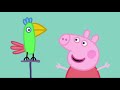 Peppa Wutz | Schlammige Pfützen mit Peppa Pig! | Peppa Pig Wutz | Cartoons für Kinder
