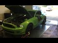 2013 mustang 5.0 dyno