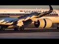 Stunning Aircraft Landing | 3 Minutes of Winter Arrivals