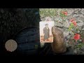 Red Dead Redemption 2- unlimited gold nugget,watch,band