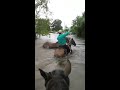 Farmers Rescue Horse Trapped in Flooded Texas Paddock