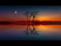 1 Hour of Relaxing Music - Beautiful Piano Music, Sleep Musi