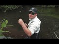 Unleash the power of small cranks | Chub Fishing in Small Rivers | Fox Rage