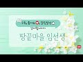 요즘 꿀맛인 '애호박채전' 꼭 이렇게 부쳐보세요~ 정말 쉬운데 놀라운 맛! (+쉐프윈 칼 공구)