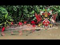 Red Scarlet Ibis Birds Chimelong Safri Park Guangzhou China Bird photography @richscenic #richscenic