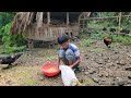 The boy raising pigs does everything, the woman is touched when the boy gives her a T-shirt