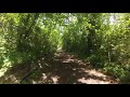 Mountain biking Merritt Island trails w/GoPro