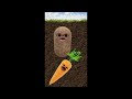 the amazing fruits and vegetables friends #5, carrot has no hair