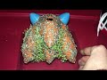 I Gave My Sonic Chia Pet 2 Weeks To Grow! Here’s What Happened.