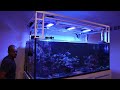 Reef Tank Closed Loop Flow: Design, Setup, and Maintenance for SPS, LPS Corals