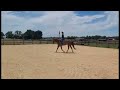 Kiki riding video