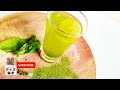 ताकतवर मोरिंगा अमृत || Refreshing Moringa Infusion || Revitalizing Moringa Brew|| सहजन की चाय ||