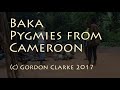 Amazing Home of Sticks and Leaves - Baka Pygmy Hut