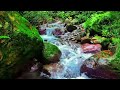 Soothing Stream Forest River Sounds for Reduce Stress, Relaxing, Heal Mind Relaxing Sounds for Sleep