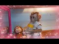 Smart baby monkey Lyly helps her mother clean the house