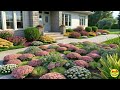 Landscaping Plants for a Stunning Front Yard | Elevating Your Home's First Impression