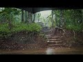 4 Hours of Heavy Rain Walks Compilation | ASMR Sounds of Rain on Umbrella for Sleep and Mediation
