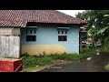 Walking in the drizzling rain in the beautiful village || very cool and calm || Javaland