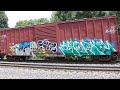 Surprise NS Manifest Train somewhere in N. Carolina 7/16/16