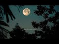 Nature sounds of frogs, crickets, forest Tropical nights, Nature sounds for sleep