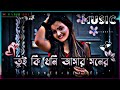 তুই কি ধনি আমার মনের রানি ও গো হবি | (Slowed+Reverb) Bangla Lo-fi Song #_HABIB__001_#banglasong