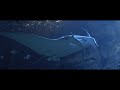 [4K] Cinematic Nausicaa Aquarium | Boulogne-sur-Mer, France