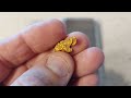 Gold Prospecting Talbot's Victorian bush with the Minelab GPZ 7000 and Nugget Finder 17