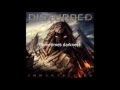 Disturbed - The Light (Lyric Video)