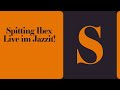 THE SEEDS OF YOUR SORROW: Spitting Ibex im Jazzit Salzburg - 03.03.2023