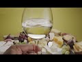 Tasting of white wine with variety of sliced cheeses with fruits.