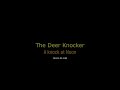 Just Fauna Studios - The Deer Knocker - A Knock at noon