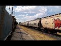 Granolero con la BNSF 8181 al frente, una GEVO de CP de primera generación (8731), y silbatazos