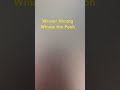Werner Herzog Winnie the Pooh