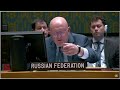 Jimmy Dore briefs the United Nations about the 2022 Nord Stream pipeline sabotage