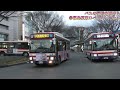 バスの行列を眺める＠福島駅東口バスターミナル