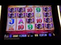 MY BIGGEST WIN EVER on $6 bet on Buffalo Gold ALL 15 HEADS