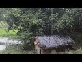 Naturally Peaceful And Beautiful forest Village Life in Rainy Season | Rural Life India village Rain